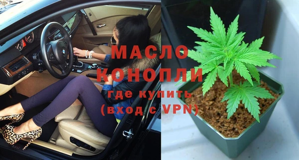 стафф Ельня