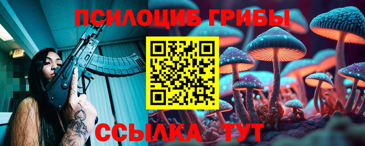 Дюртюли  Псилоцибиновые грибы MAGIC MUSHROOMS  Вход с VPN 